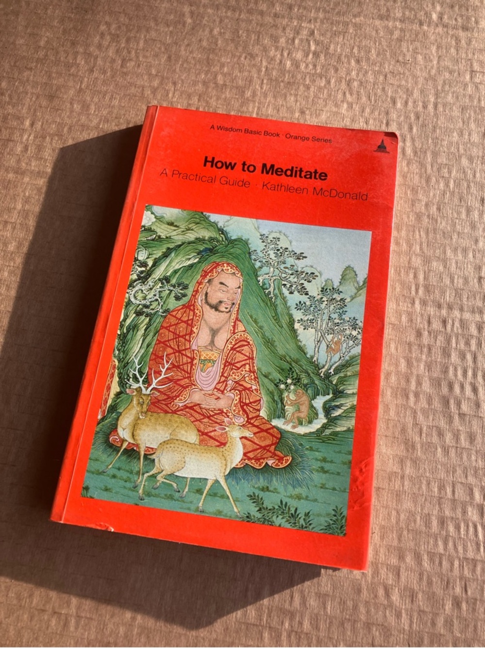 How to Meditate by Kathleen McDonald - Bright Orange Cover